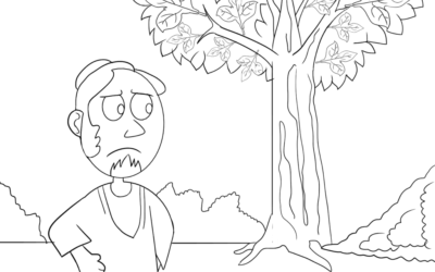 Fruits Of The Holy Spirit