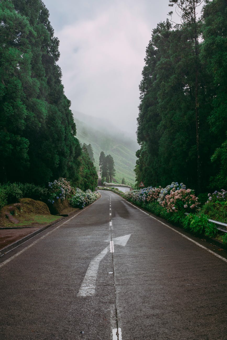 Psalm 60 – Prayer For Deliverance From Hard Times