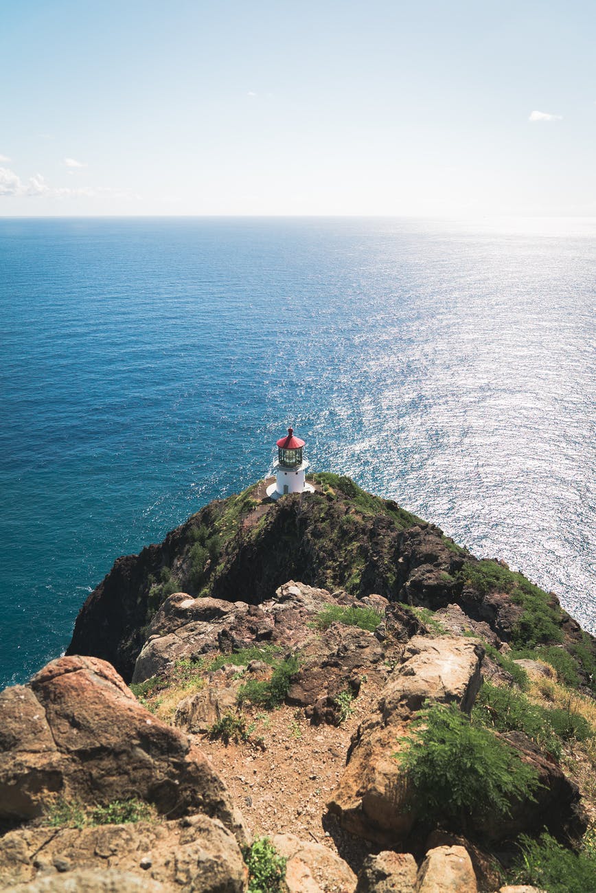 Psalm 91:14  Because he loves Me,” says the Lord, “I will rescue him;